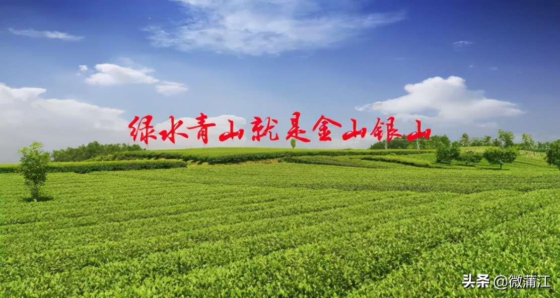 社会满意度考评,社会公众满意度测评宣传图片