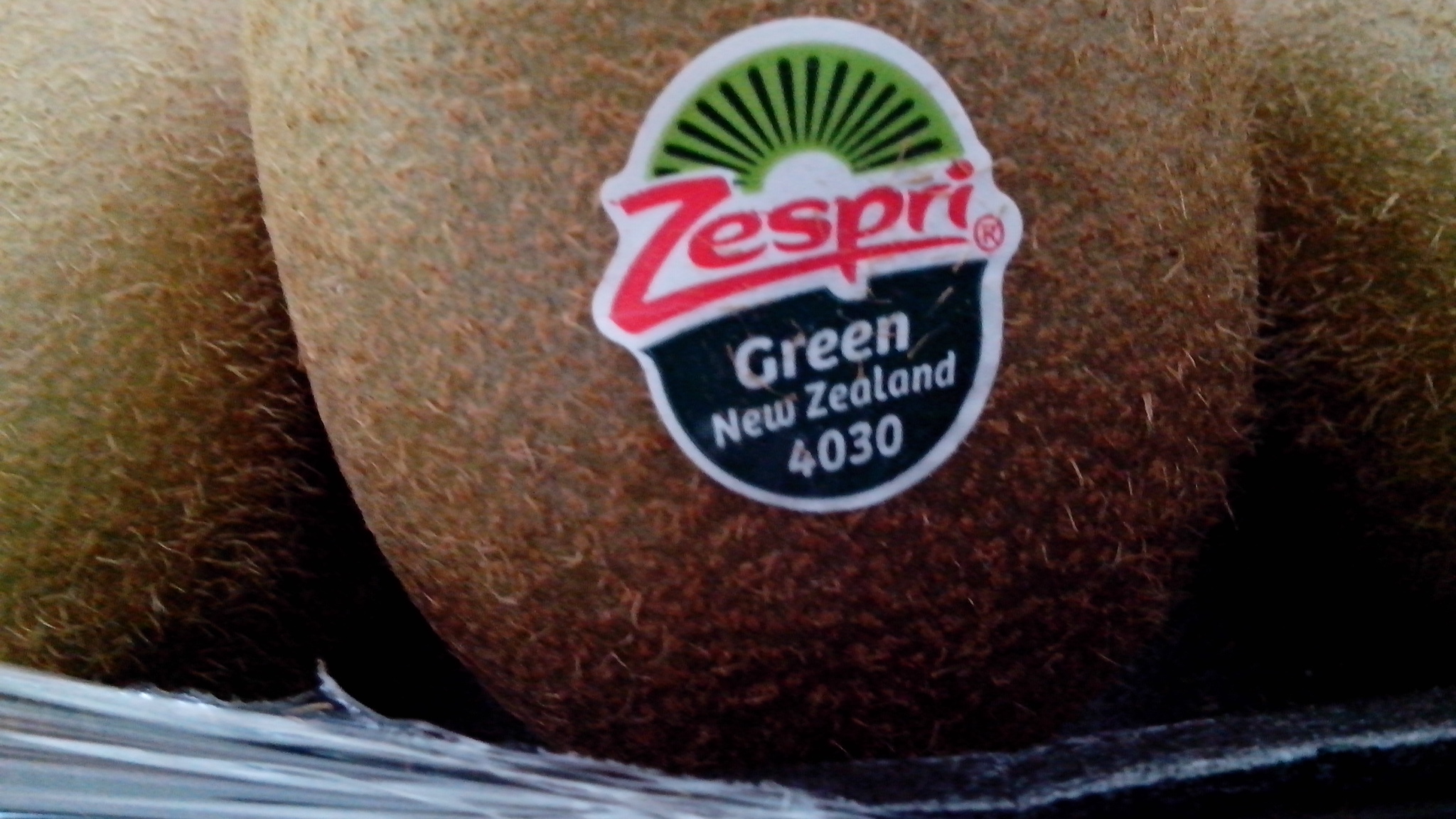 德国男人谨慎又开放，哪是真，哪是假，你怎么看？