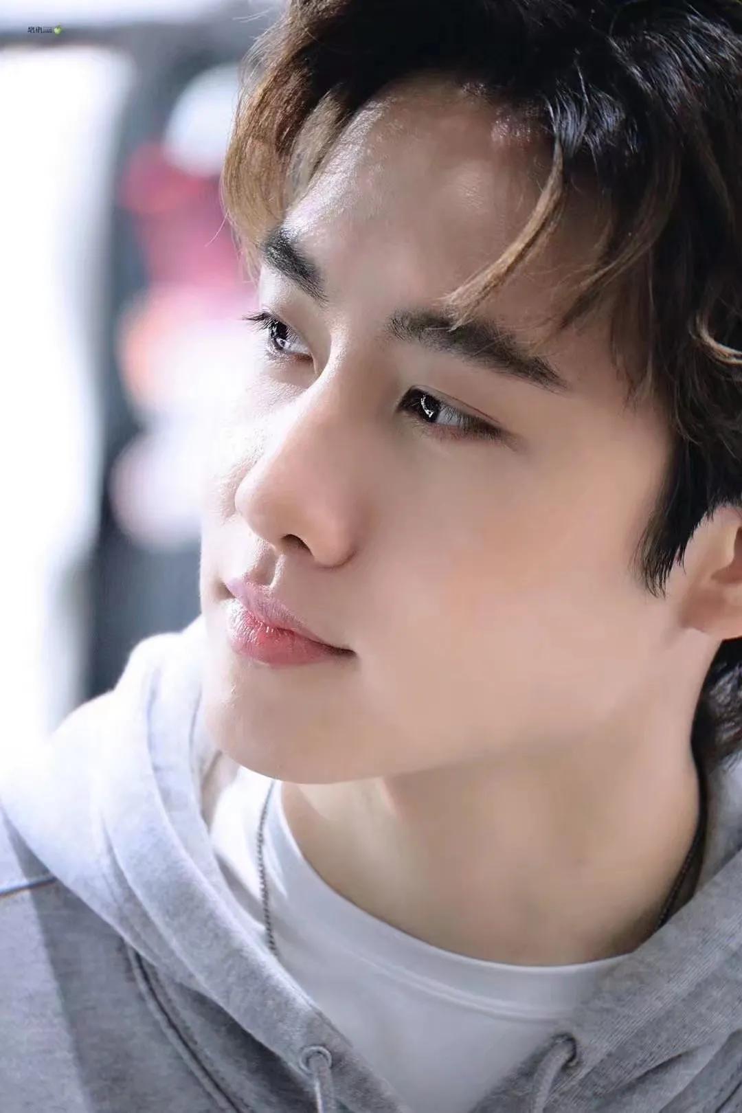 泰星陈瑞书个人资料,泰国明星评价陈瑞书