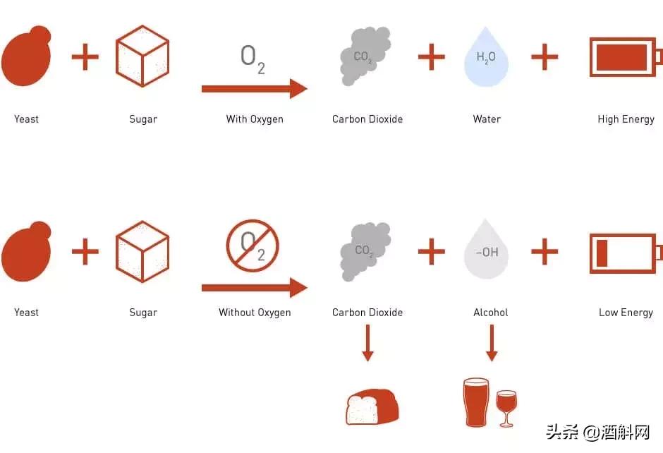起泡葡萄酒缺陷是什么原因,葡萄酒为什么多酒渣
