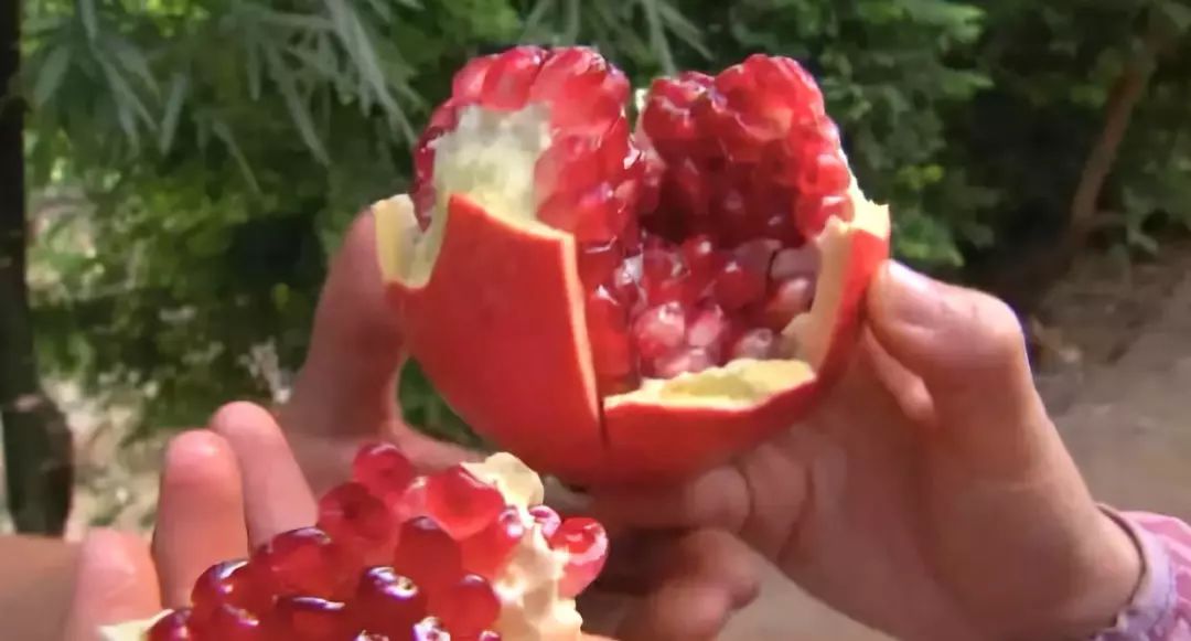 如何将软籽石榴从农田推广到市场,会种也会卖如何拿下软籽石榴市场