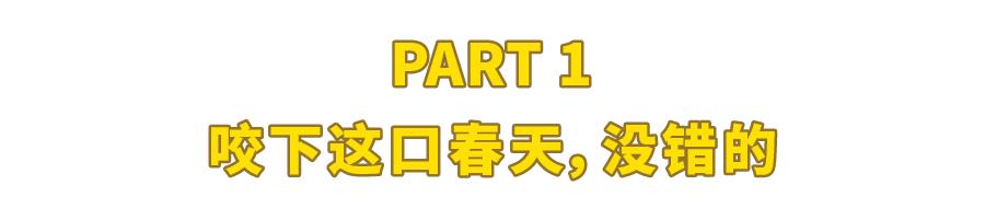 今年不再作妖的手作青团们,到底能有多好吃?