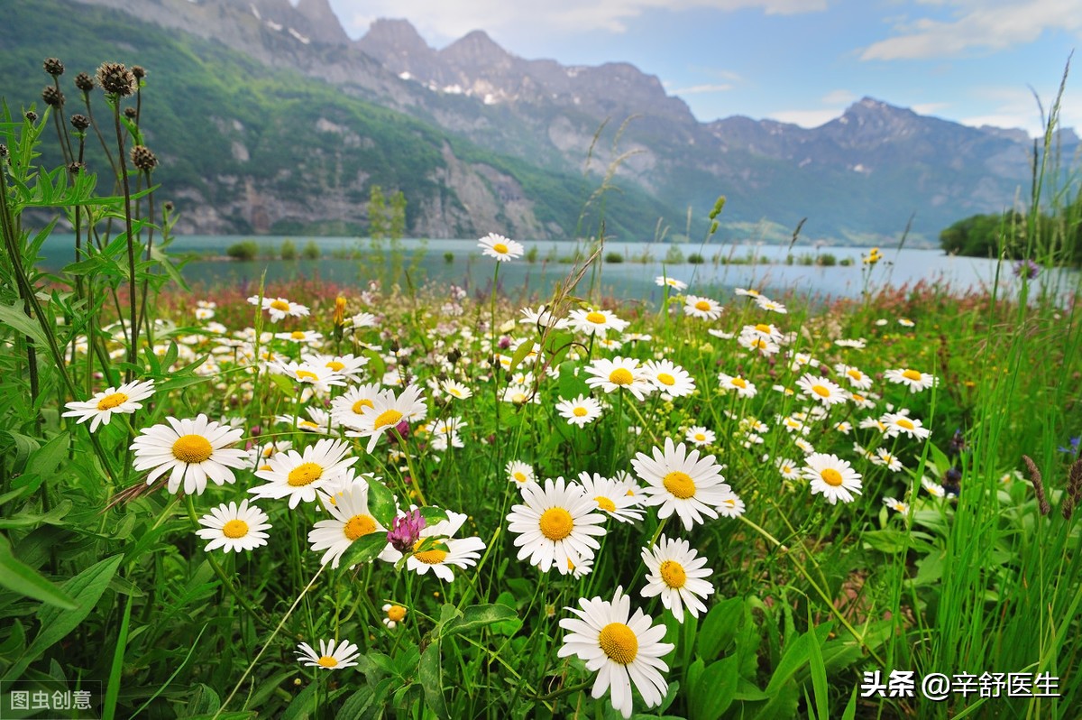 宫颈癌诊断治疗共识,宫颈癌筛查小故事