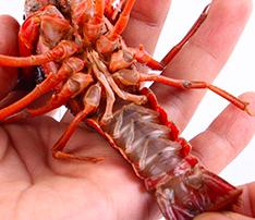 小龙虾是刷了再泡还是泡了再洗,洗小龙虾要不要放小苏打