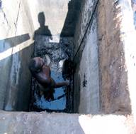 怎么治瘟疫,如何控制上厕所