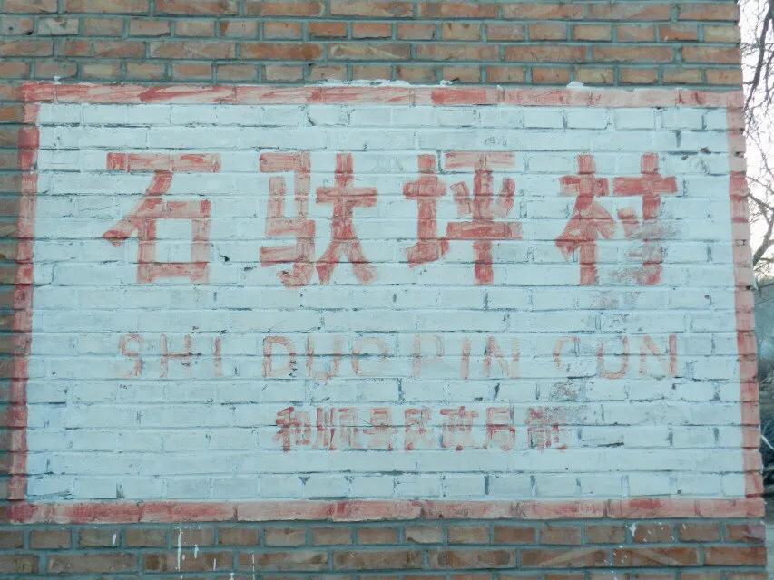 在山里迷路遇到狐狸,在山里迷路遇到了好漂亮的小姑娘