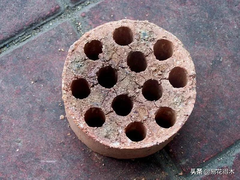 养花煤渣直接掺到土里吗,蜂窝煤渣养花好处多