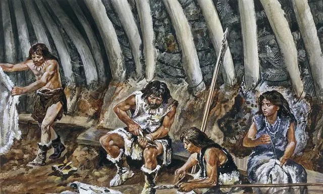 燕窝的故事大全视频,燕窝相关的故事