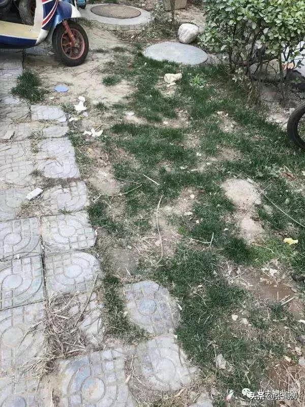 物业服务零投诉,福泽门物业现状