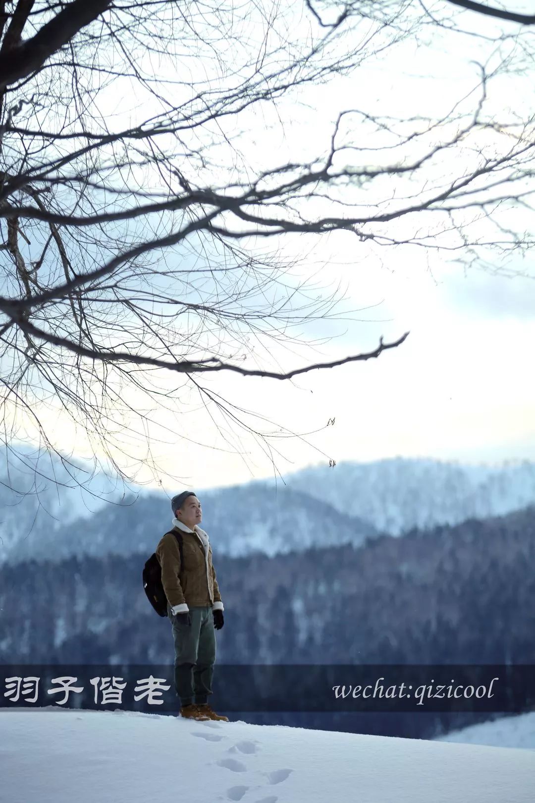 老实说，这一趟北海道就是为了拍好看的照片去的