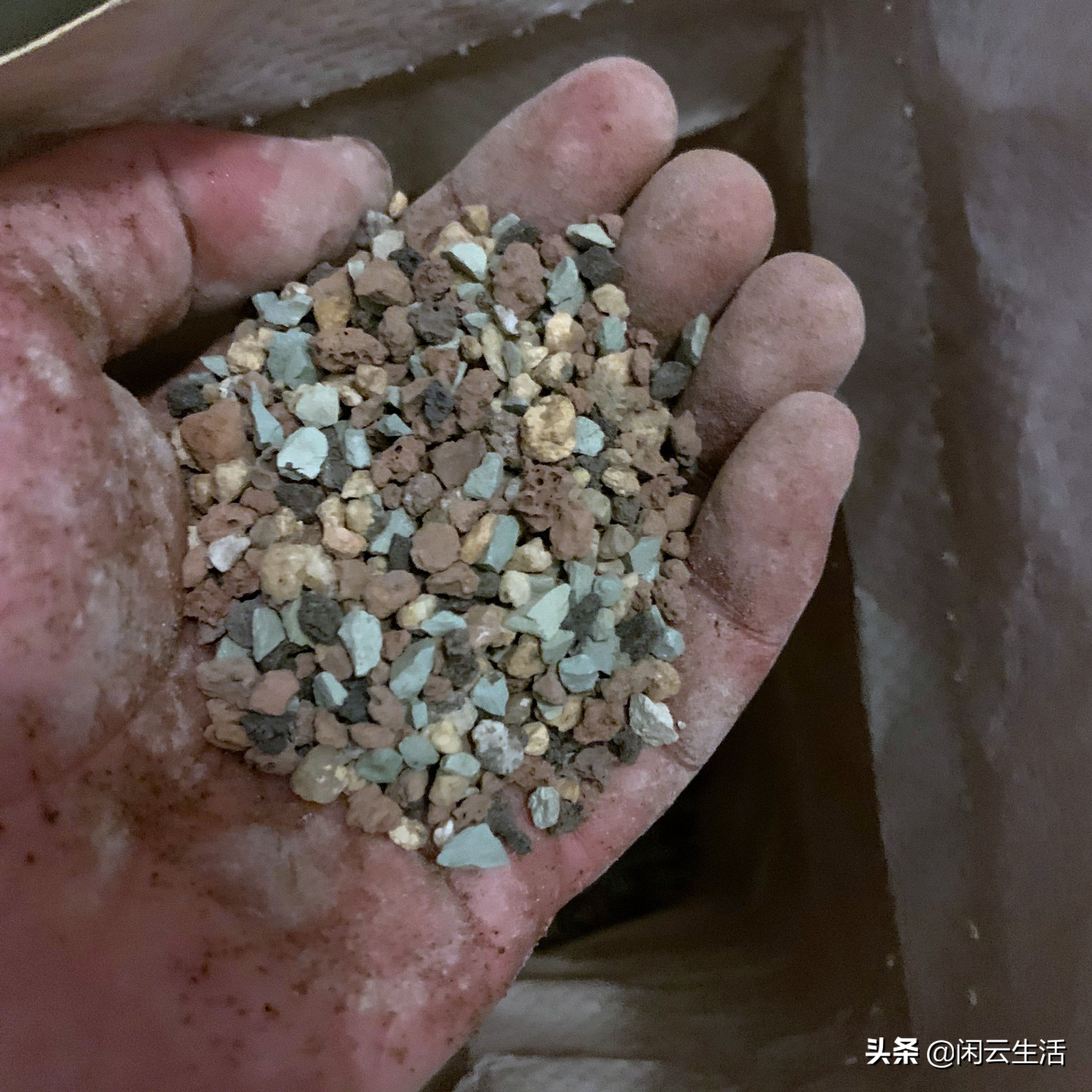 还在买几块钱包邮的营养土吗?快停止吧!——室内植物配土说明