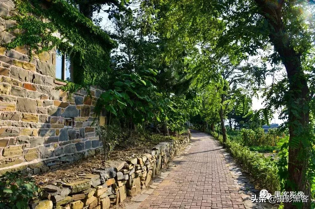 精致小青岛，秀美渔村入画来