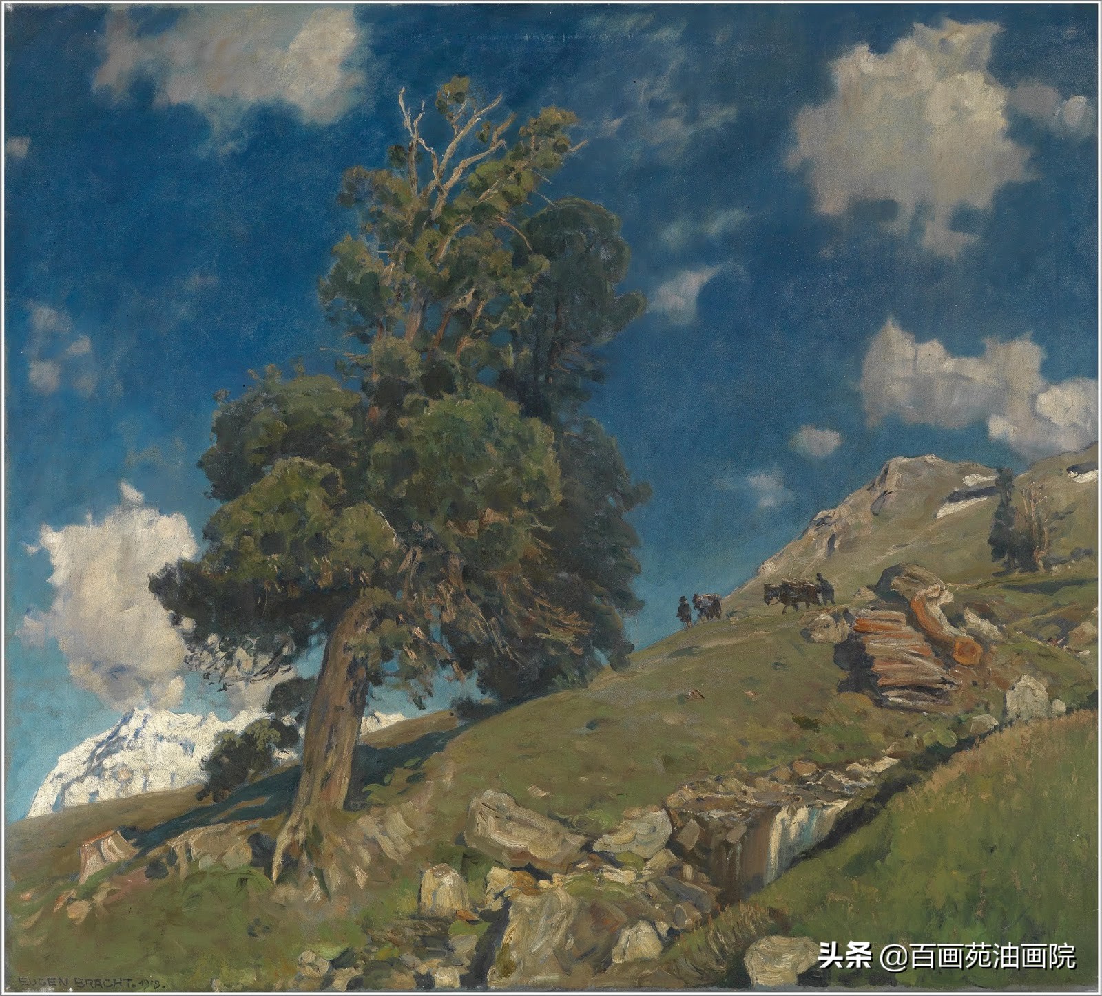 油画风景教程简单又好看,油画风景第一遍技巧