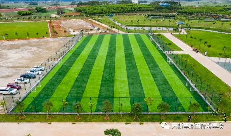 这才是进入春天的正确打开方式,怎么打开春天的新方式