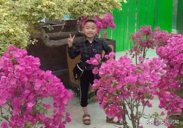 武威市新时代好少年视频,武威新时代好少年