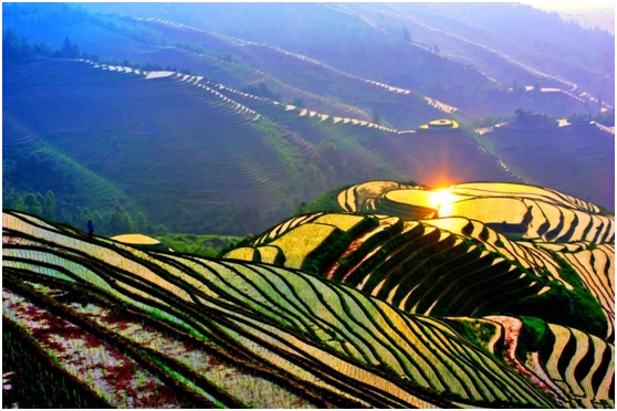 婚礼上播放张杰的秋天的童话,张杰秋天的童话舞蹈