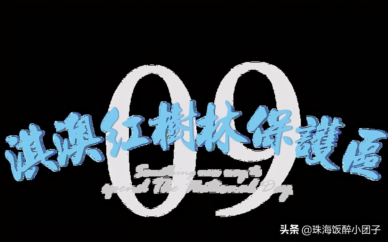 珠海最好的旅游攻略最新,珠海十大绝美夜景