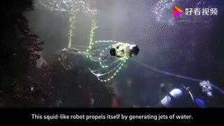 黑科技太空机器人,鱿鱼机器人
