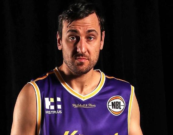 咎由自取一败涂地,博古特加盟过哪些球队