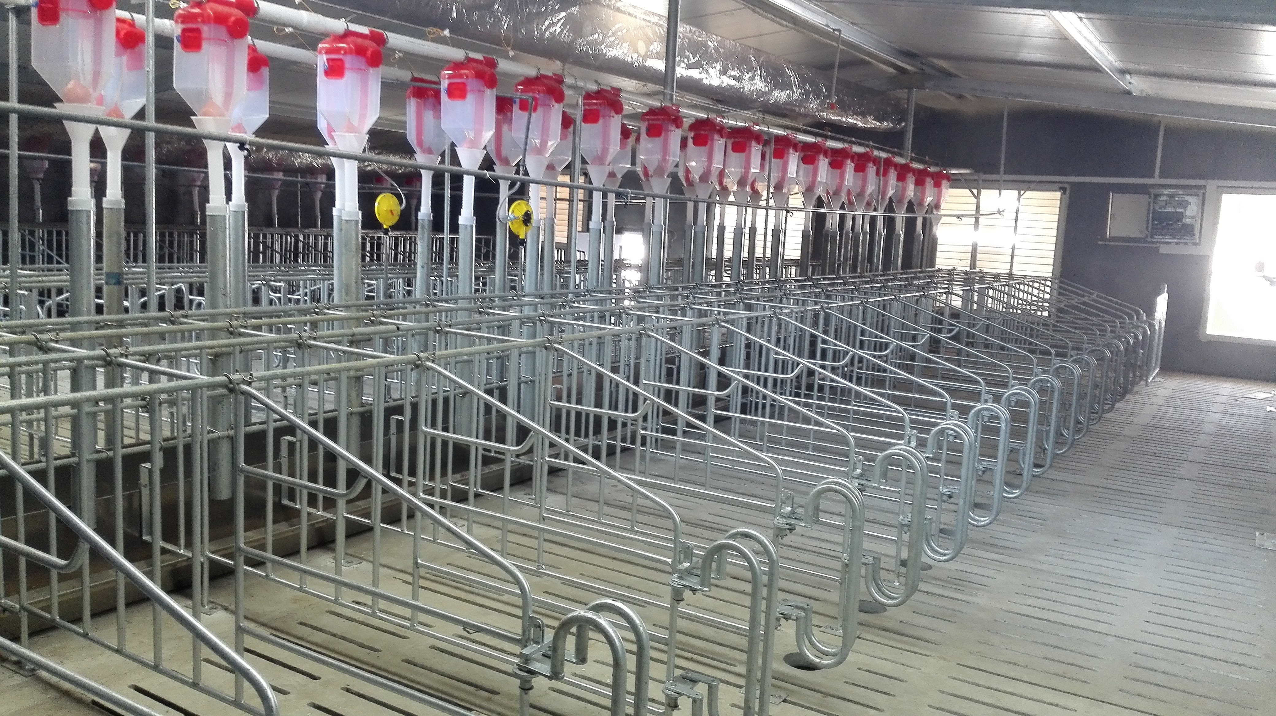 南商农科是什么,规模化养猪技术大全