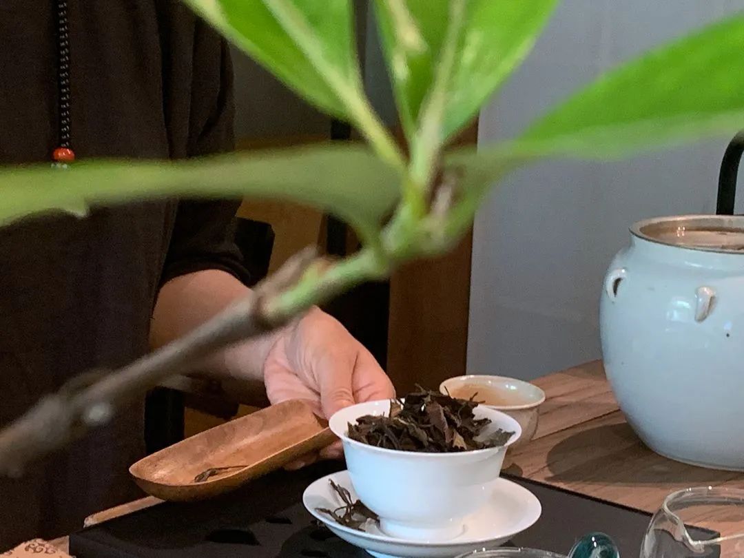 10位意见领袖打卡果岭，让有组织的圈子更有乐子