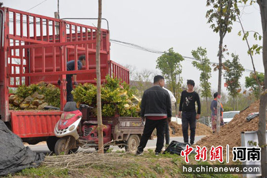 鄢陵农商银行放贷,小额农贷为鄢陵花农致富插上翅膀