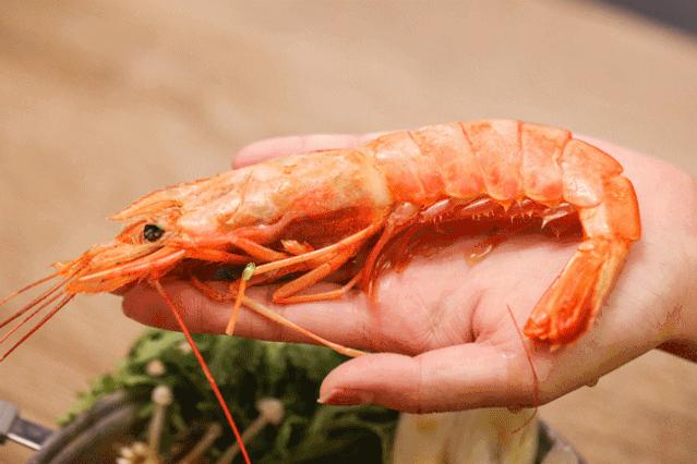 高品质自助餐厅吃的舒心,高级自助好吃的美食店推荐
