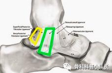 崴脚超过24小时是热敷还是冷敷,崴脚超过48小时是热敷还是冷敷