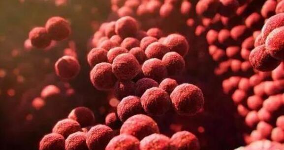 洗澡的时候搓下来的黑泥放大100倍,搓澡下来的黑泥是什么显微镜