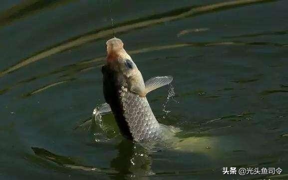 世上本无路走的人多了全是套路,世间本无路全是套路