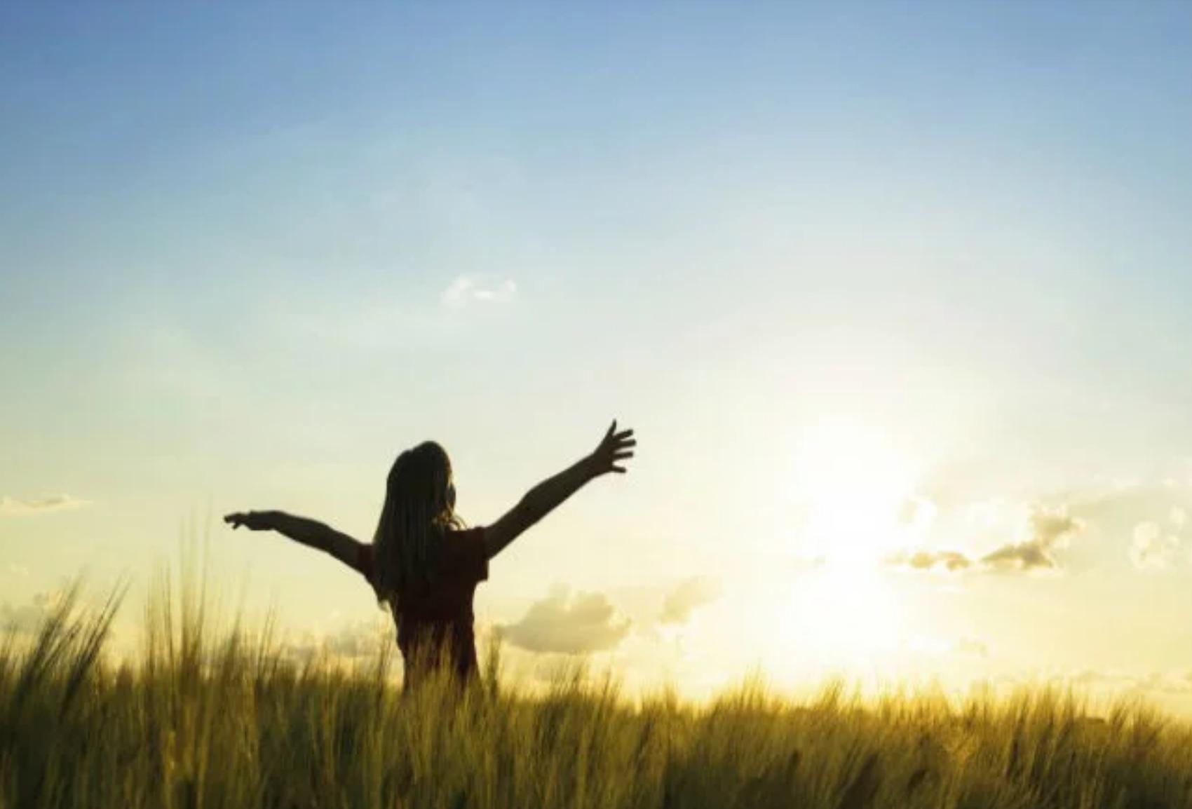 关于金星的科普知识,金星的特点简单说一下