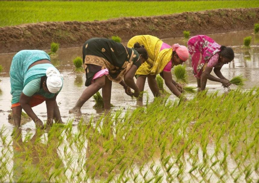 为何中国和印度人口如此多,为什么同样人口大国印度消费低