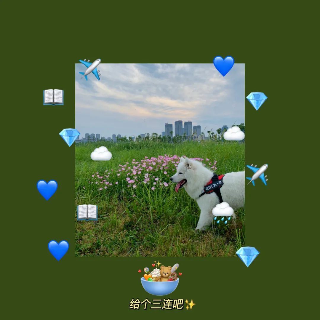 applewatch可以直接截图,applewatch带表截图