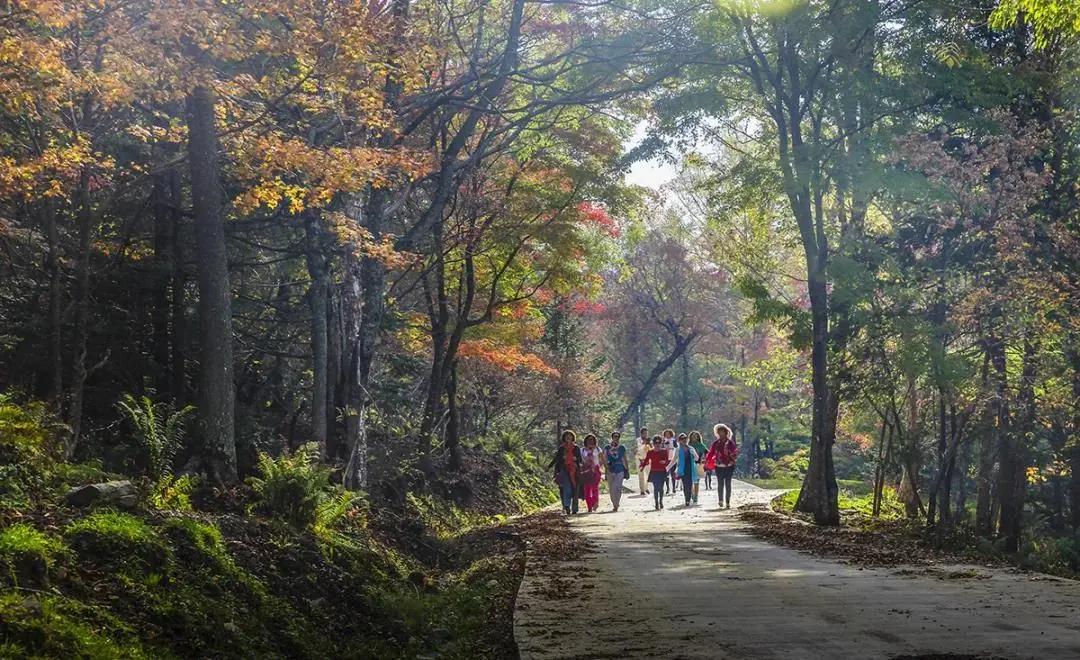 假期逛景区一大波优惠等着您,景点优惠活动视频