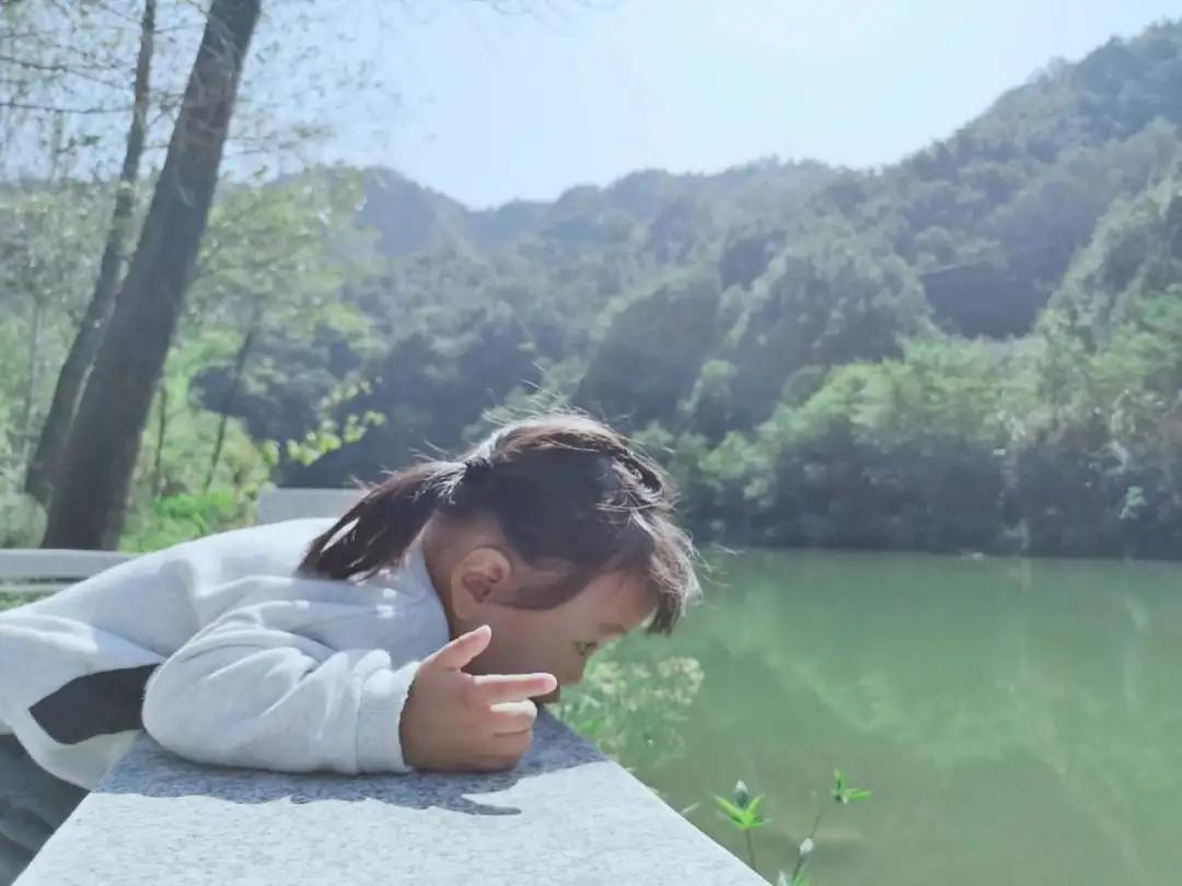 栾川湖景民宿,栾川森林氧吧民宿