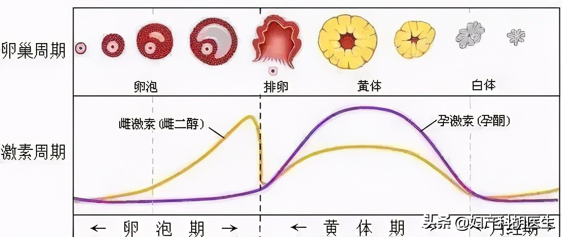 经期洗头谣言,辟谣经期不能吃冷