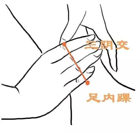 按三阴交穴位要注意什么,能延缓女人衰老的穴位三阴交穴