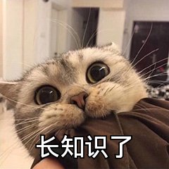 女生经常被骗的几件事，真相来了！