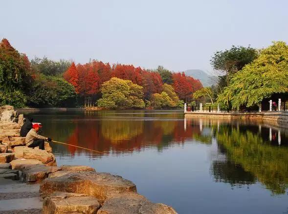 广州本地人最喜欢去的20个地方,你去过几个?