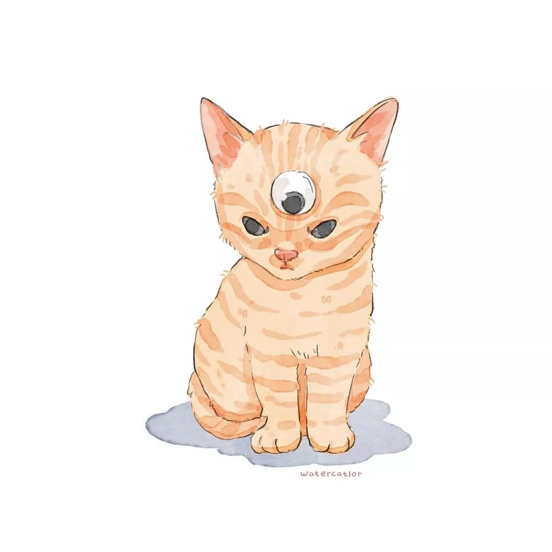 猫是液体的证据找到了吗,猫难道真的是液体吗