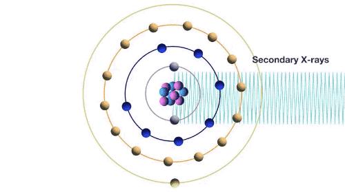 百万美金买的千年古籍实际才刚成年？现代打假技术太给力了