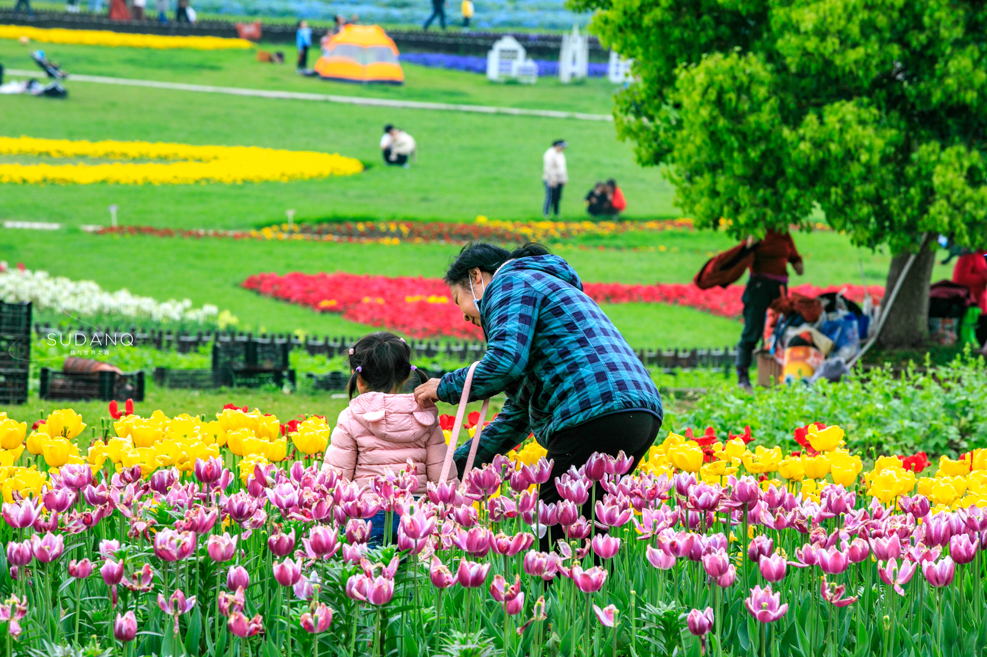 最值得去的鲜花小镇,距离武汉不远的景区