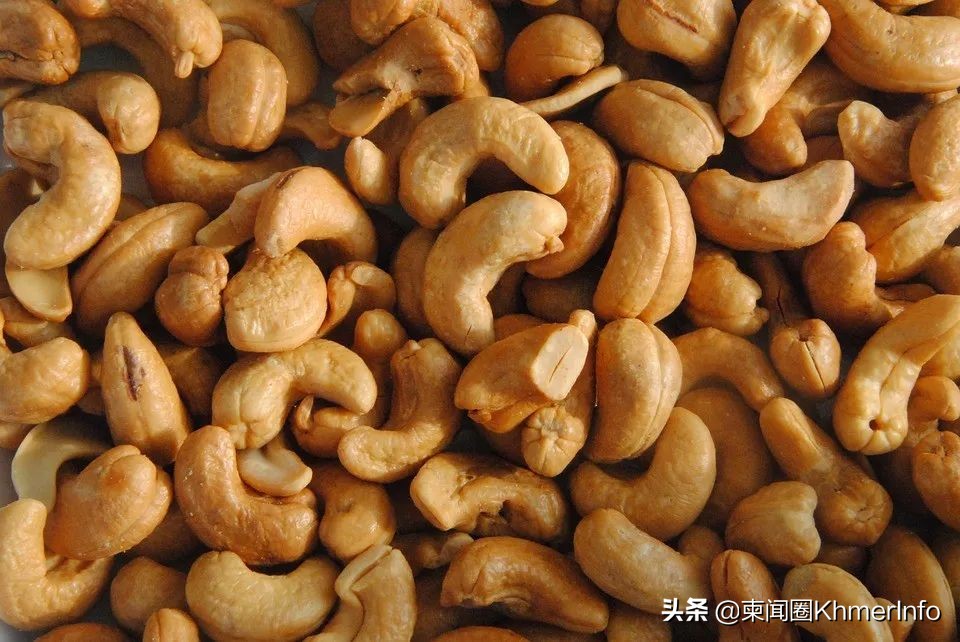 在越南买香脆的腰果,腰果都是越南进口吗