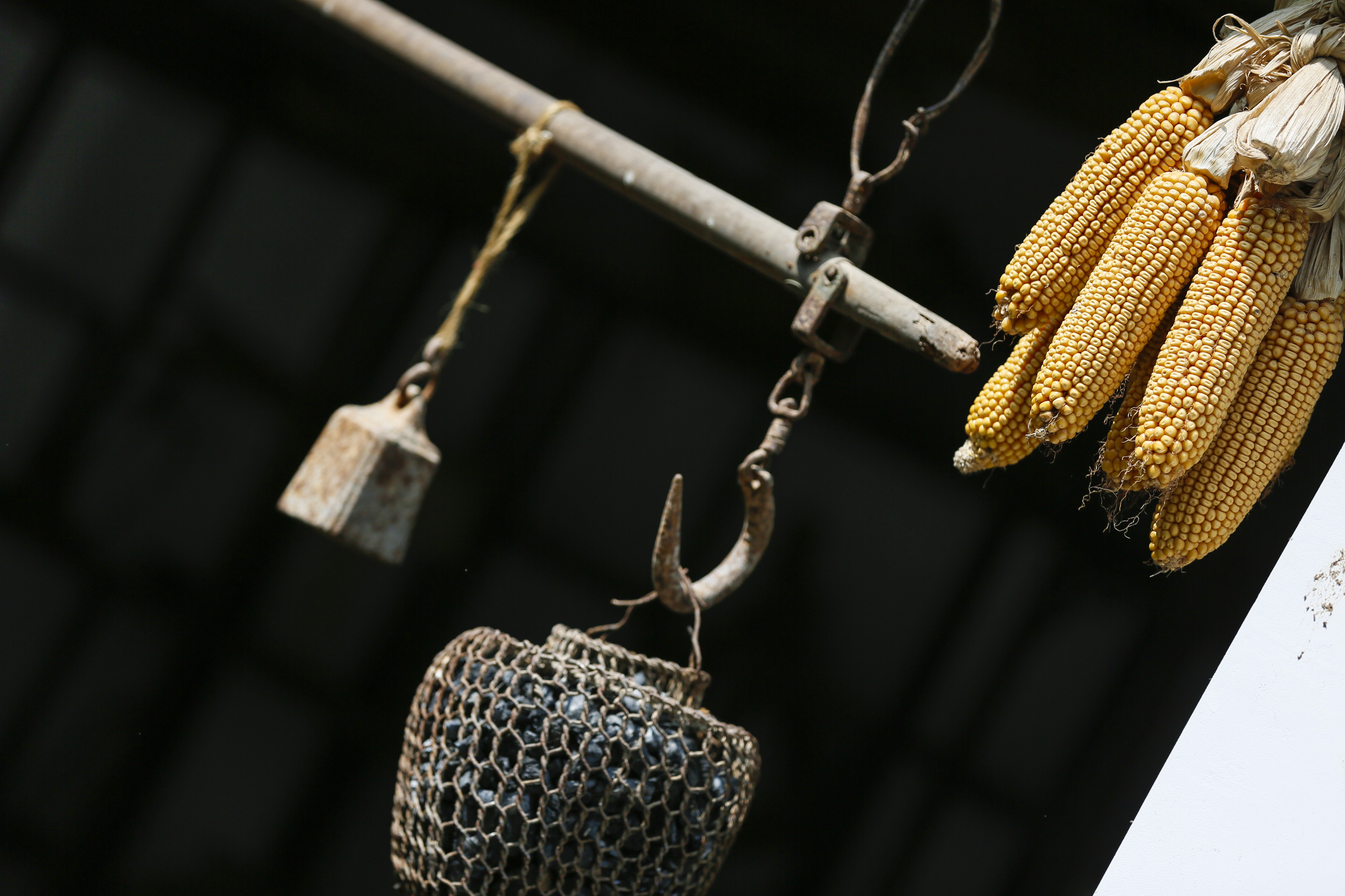 聊城姜堤乐园和周公河乐园哪个好,聊城姜堤乐园附近景区