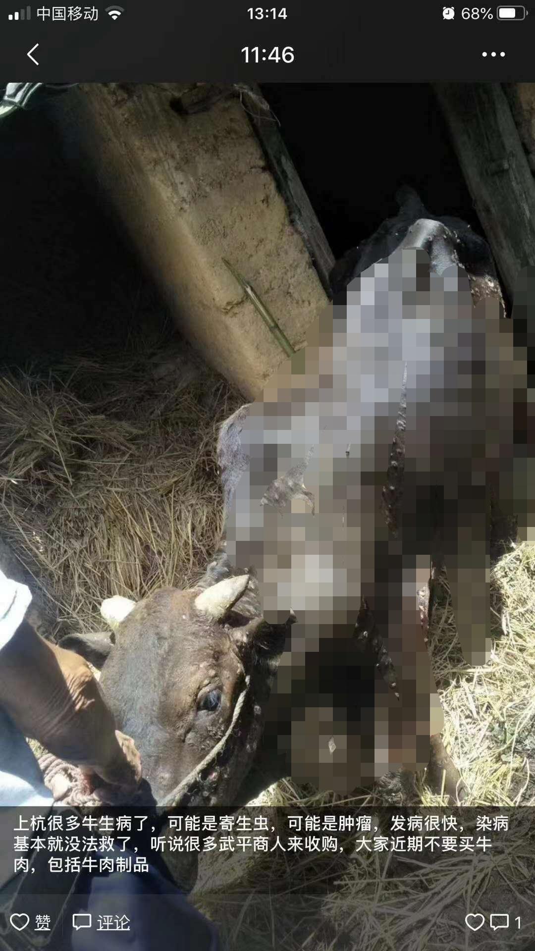 实体店鞋子进货app,实体店鞋子一般货源都在哪找