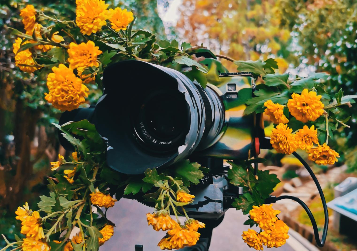 又好玩又实用的工具,好玩实用高科技物品