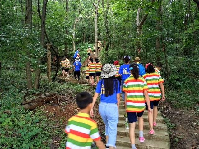 关于夏令营的内情你应该知道这些