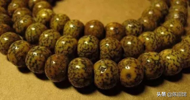 星月菩提怎么盘玩更亮更容易上色,鸡油黄星月菩提为什么盘了不变色