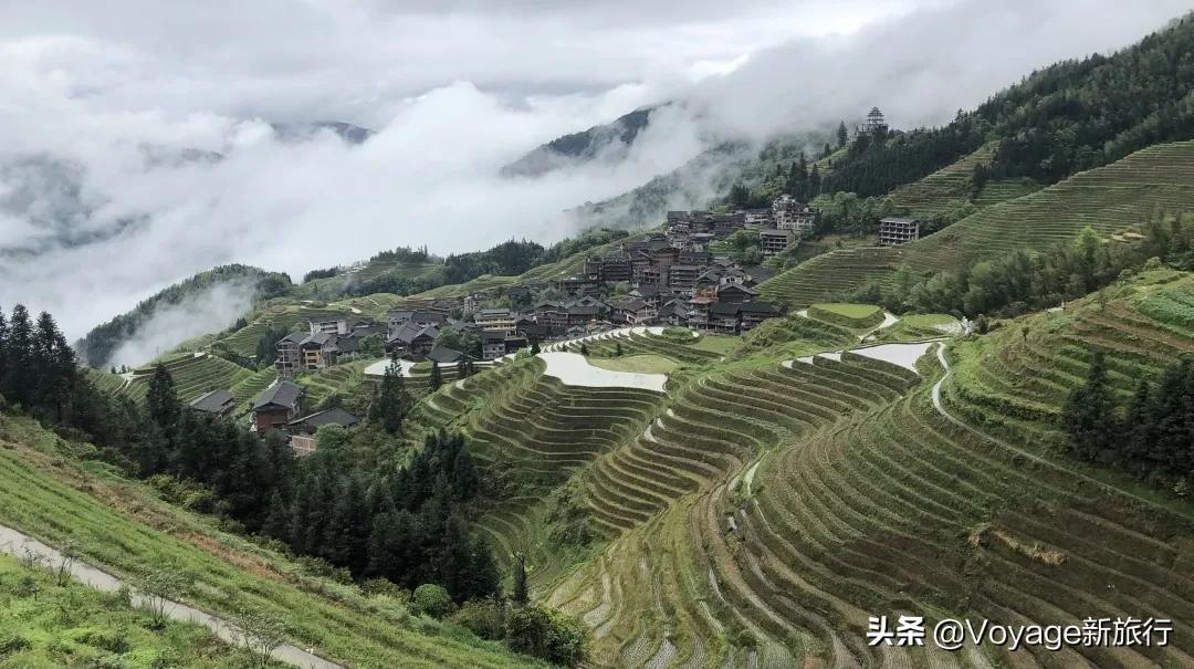 夏天来了不想上班,夏天来了不想出去旅游了