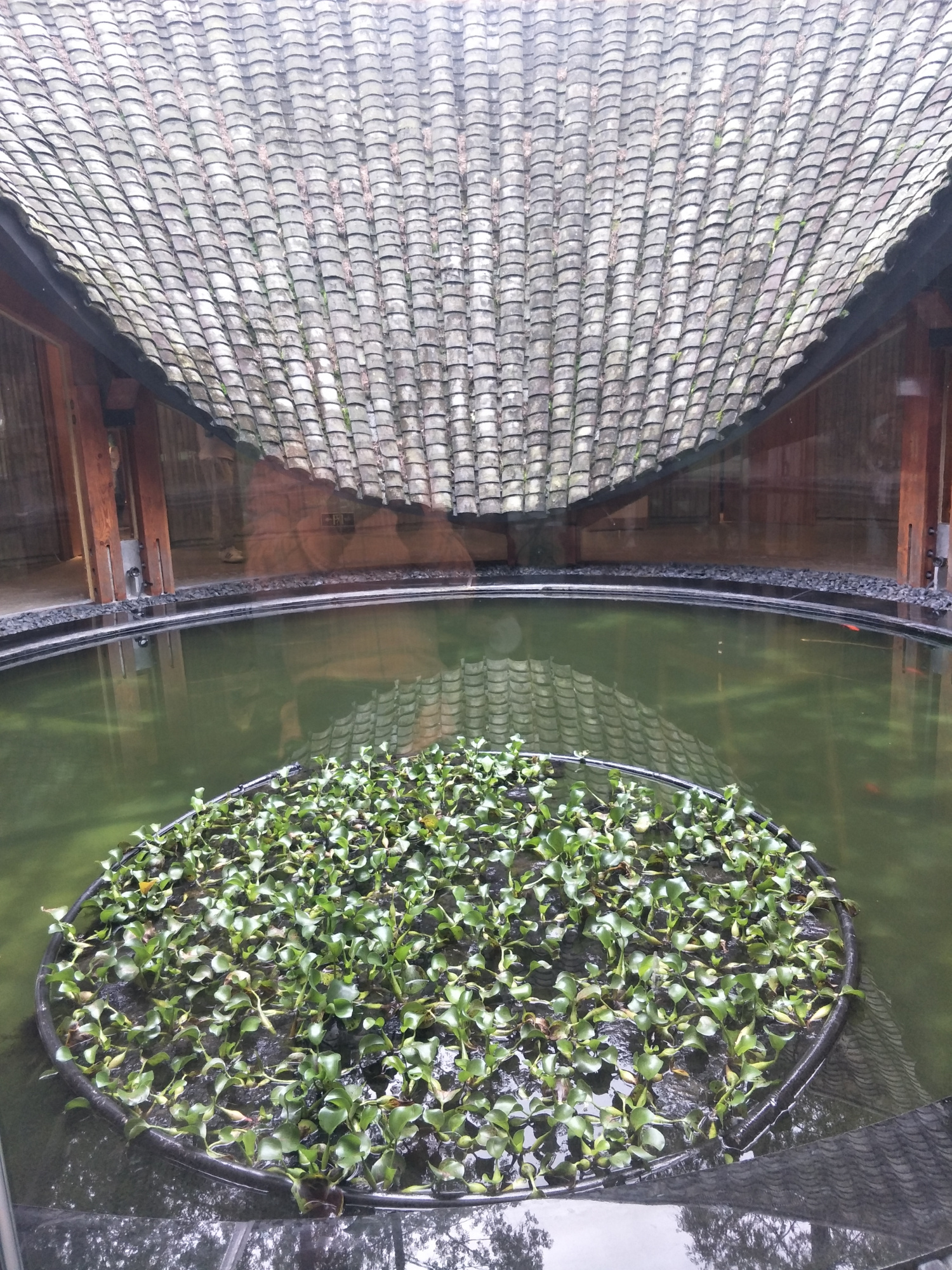 崇州竹里建筑,成都市崇州竹里